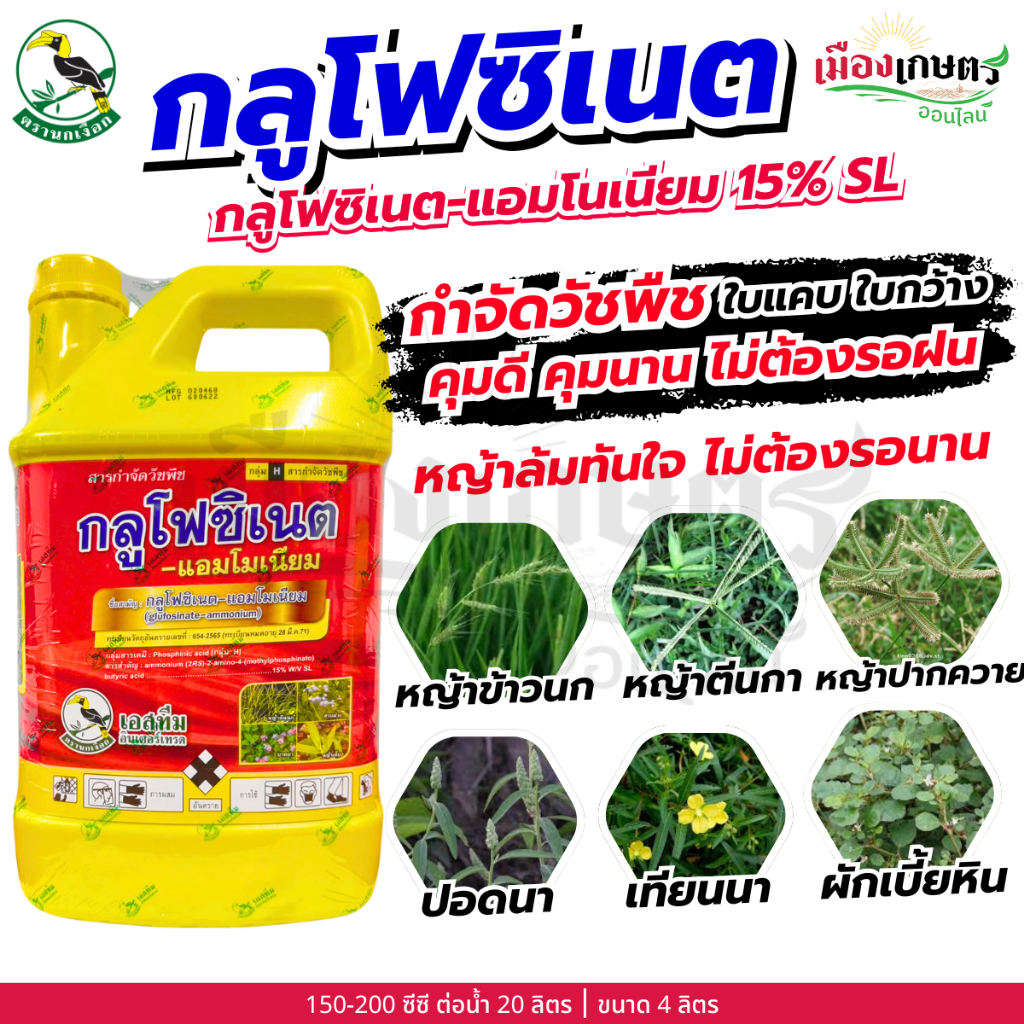 เอสทีม กลูโฟซิเนต กลูโฟซิเนต แอมโมเนียม 15% SL 4 ลิตร ยากำจัดหญ้า สารกำจัดวัชพืช สารป้องกันจากหญ้า ยาคุมหญ้า ใบแคบ