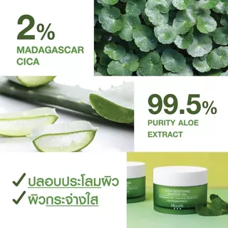 MizuMi Cica Soothing Moisture Gel 45ml มิซึมิ ซิก้า ซูทติ้ง มอยส์เจอร์ เจล 45 มล.