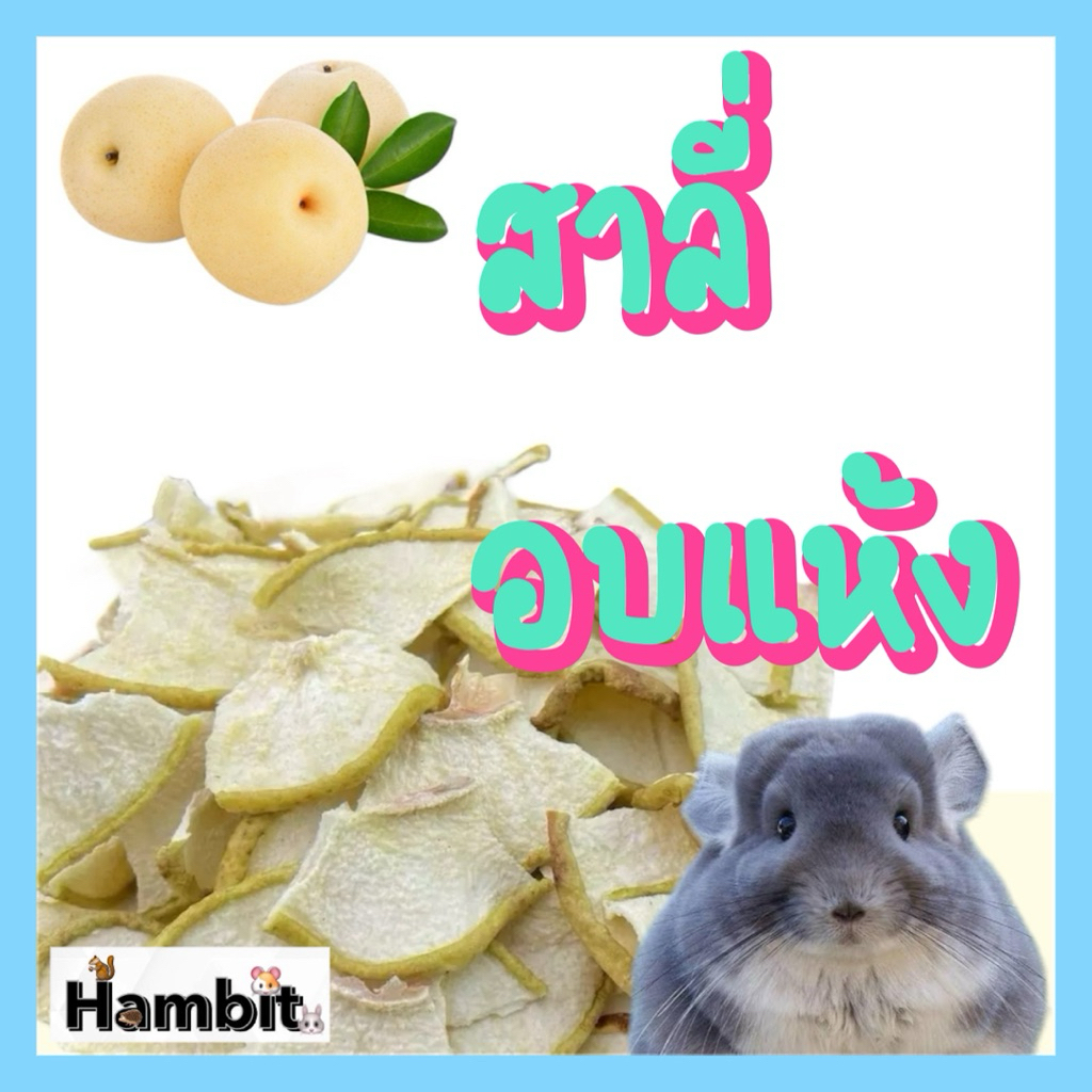 🍐 สาลี่สไลด์อบแห้ง สำหรับสัตว์ฟันแทะ 🐹🐰 ขนาด 20 กรัม | ราคาเพียง 20 บาทเท่านั้น! 🧡