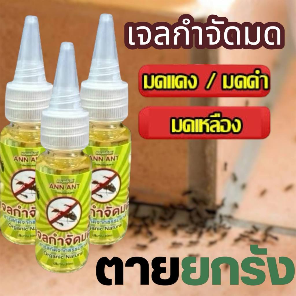 เจลกำจัดมดAnnAnt เหยื่อกำจัดมด เจลเขียวฆ่ามด กำจัดมดทุกสายพันธุ์ ปริมาณ20กรัม