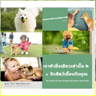 🐱สเปรย์แผลสัตว์ มีผลตั้งแต่ 1สเปรย์🐶3 แถม 1 สเปรย์สมานแผลสำหรับสัตว์เลี้ยง สเปรย์พ่นแผล แผลแห้งเร็วมาก ยับยั้งแบคทีเรีย