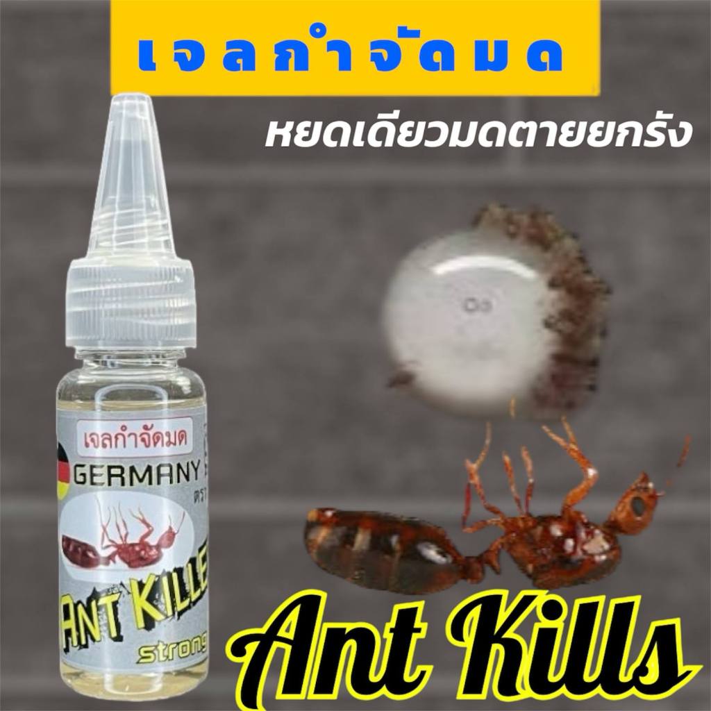 เจลกำจัดมด Ant Killer 25กรัม กำจัดยกรัง แบบขวดใช้ง่าย สามารถหยดได้ทุกที่ ในห้องนอน ในรถ ปลอดภัย