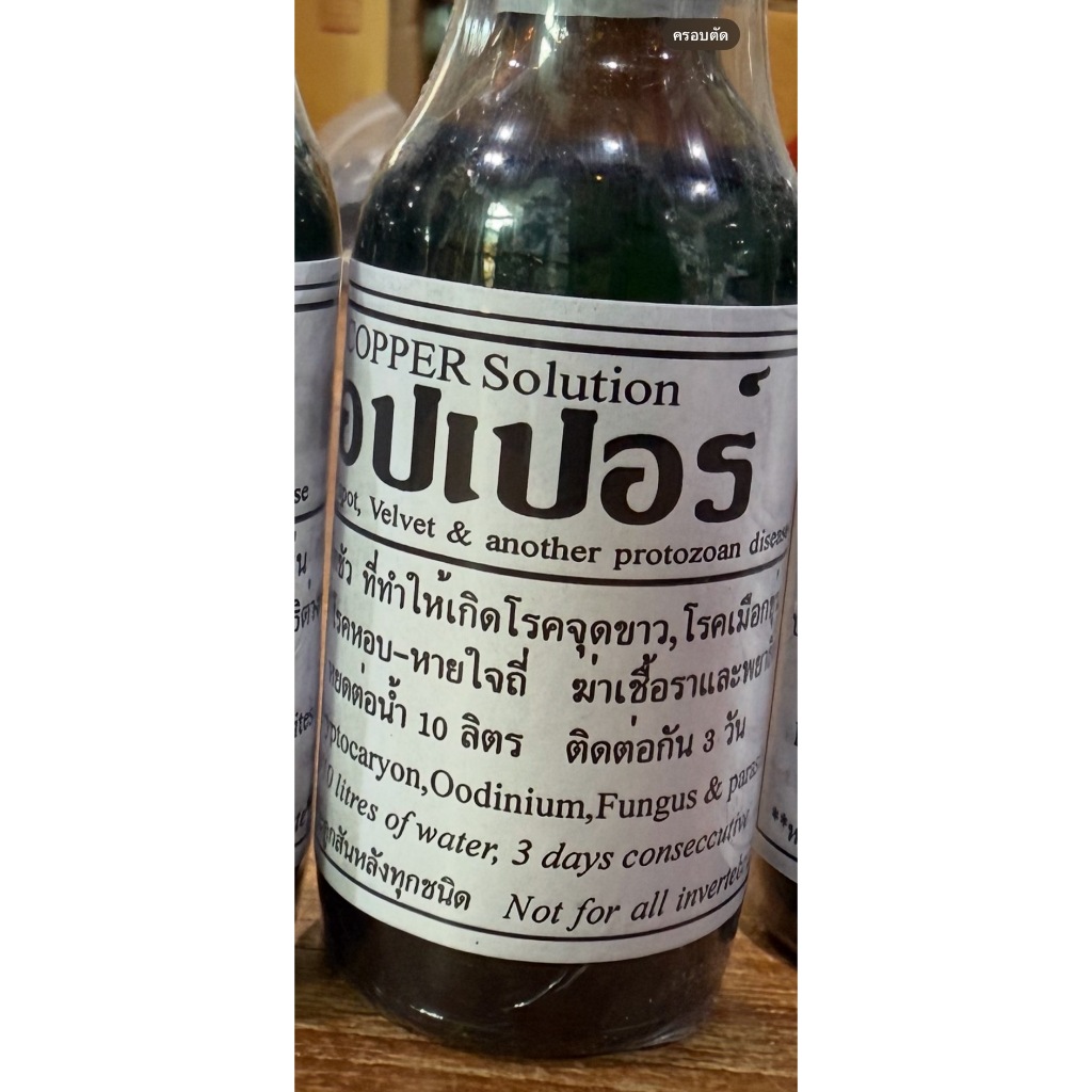 Copper Solution 60ml. สำหรับปลาสวยงาม ปลาสวยงาม ปลาน้ำจืด ปลาทะเล