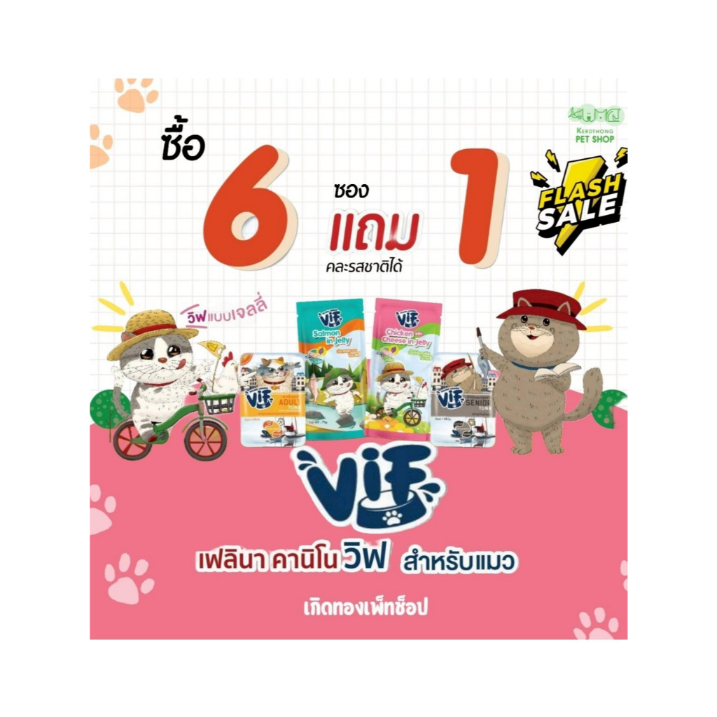 Vif Cat Pouch อาหารเปียกแมว ขนาด 75 g