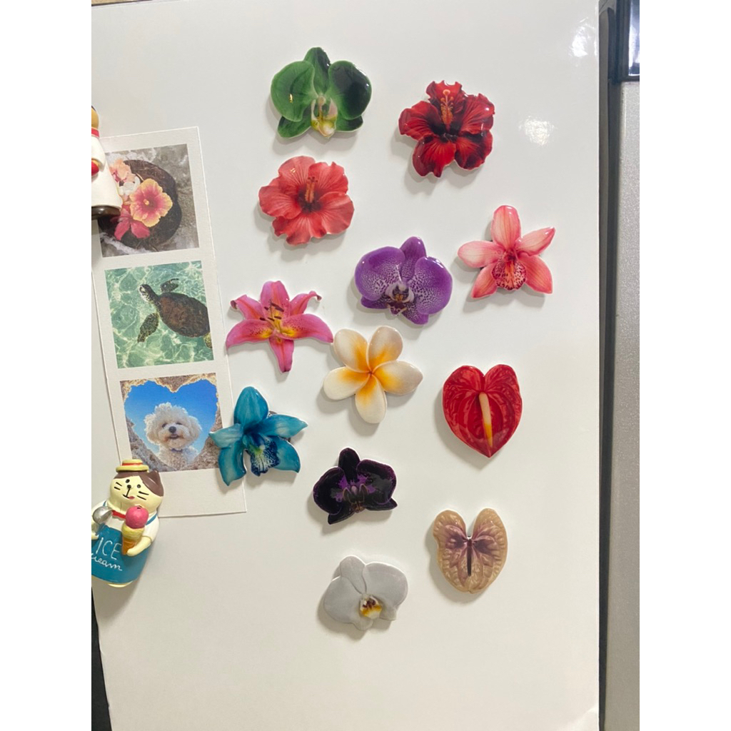 magnet  แม่เหล็กติดตู้เย็น ดอกไม้ติดติดตู้เย็น