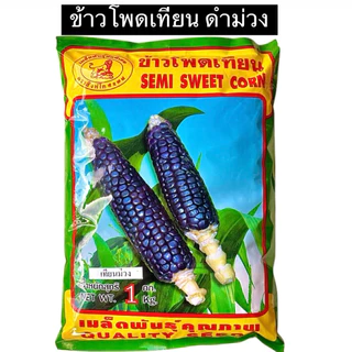 สิงโต เมล็ด ข้าวโพด ขาวปุ้มปุ้ย,เทียนดำ,ข้าวโพดเทียนม่วง-ขาว,เทียน3สี,เทียนเหลือง,เทียนขาว,แปดแถว,สวีท (1 กิโลกรัม)