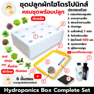 (ครบชุดพร้อมปลูก) ชุดกล่องปลูกผัก ไฮโดรโปนิกส์ อุปกรณ์ครบชุด…