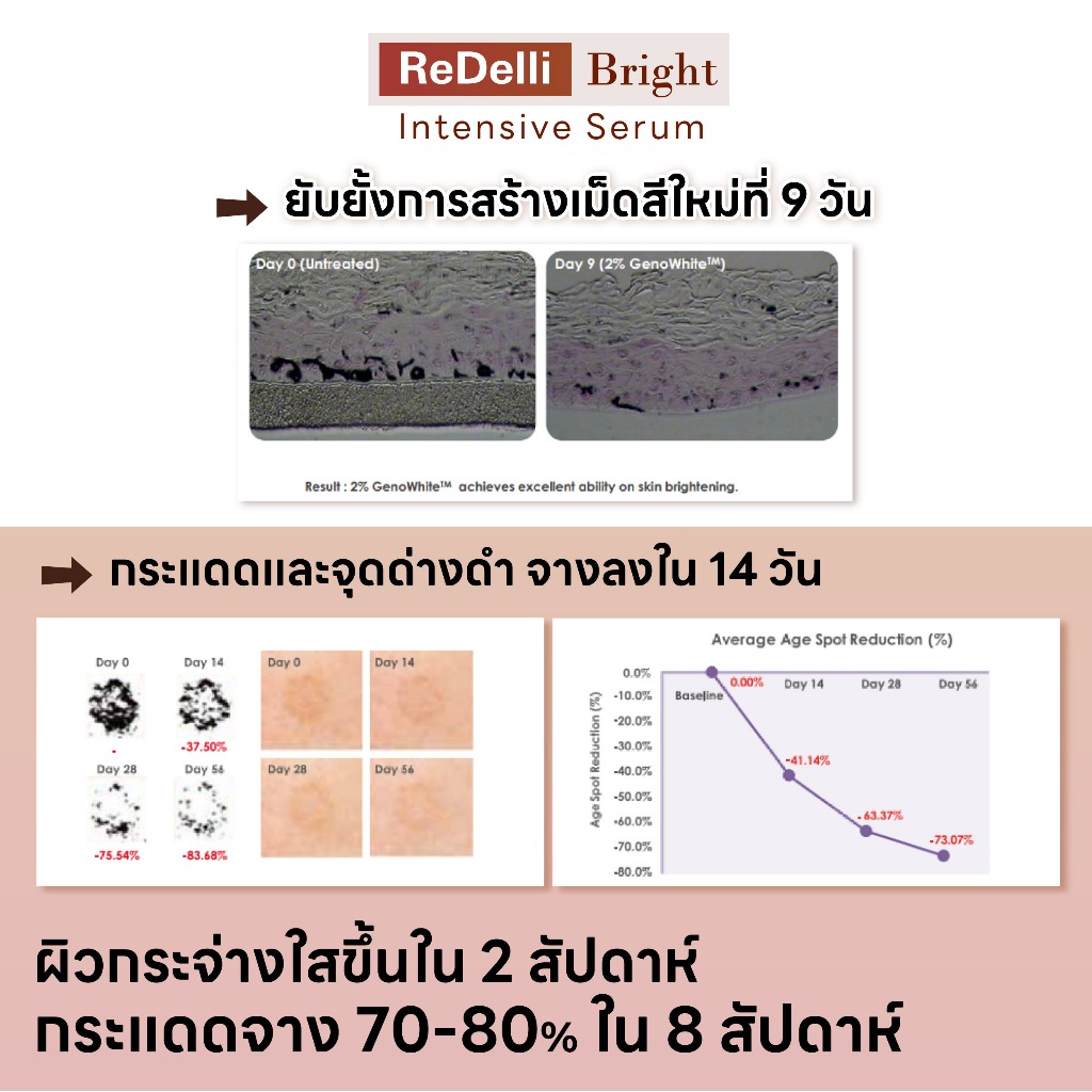 ReDelli Bright Intensive Serum ขนาด 10 / 30 มล เพื่อผิวกระจ่างใส ลดรอยหมองคล้ำ ฝ้า กระ จุดด่างดำ — صورة 5