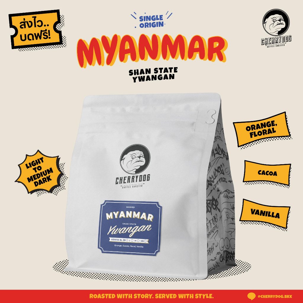 Cherrydog | เมล็ดกาแฟคั่ว พม่า Myanmar Shan-State 200g.-1kg. คั่วอ่อน | คั่วกลาง | คั่วเข้ม