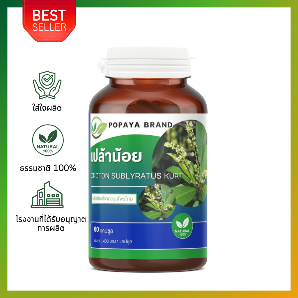 เปล้าท่าโพ (ตะวันออกเฉียงเหนือ) Croton fluviatilis Esser