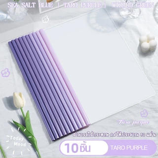 10ชุด/แพ็ค แฟ้มสันรูดพร้อมปกใส สีหวาน มาการอง และแบบไล่เฉด หรือเฉพาะสัน ขนาด A4 สันรูดรายงาน ปกเอกสารพลาสติกใส ปกรายงาน
