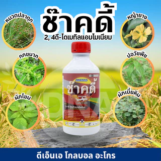 (1 ขวด) ช๊าคดี้ 1 ลิตร2,4-ดี-ไดเมทิลแอมโมเนียม ยากำจัดวัชพืช เช่น กกขนาก แห้วหมู ผักปอดนา