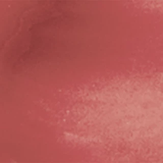 SASI - Perfect Personal Color Gloss Stick 3 g. ศศิ เพอร์เฟกต์ เพอร์ซันนอล คัลเลอร์ กลอส สติ๊ก