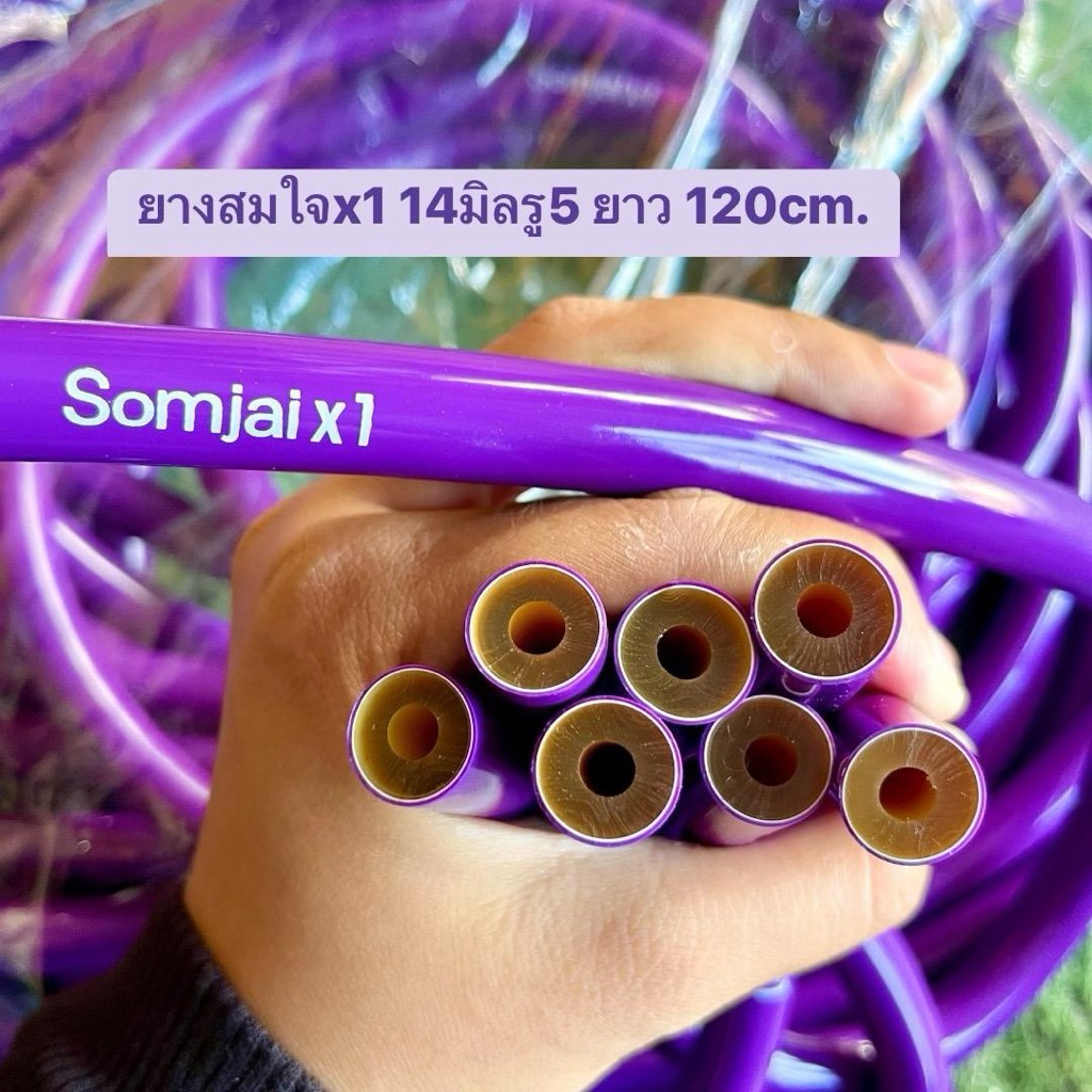 ยางSomjaix1 12,13,14,15 มิลยาว 120ซม. ยืดหยุ่นดี แรงดีดดี ใช้สำหรับปลาบนบกหรือใต้น้ำ