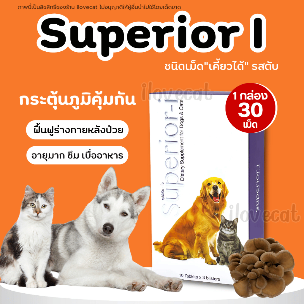 Superior-i อาหารเสริมกระตุ้นภูมิคุ้มกันสำหรับสัตว์ป่วย อ่อนแอ ผสมเบต้ากลูแคน เห็ดไมตาเกะ Petme