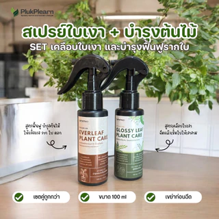 ปุ๋ยบำรุง สำหรับ ไผ่กวนอิม – บำรุง ครบทั้งราก ใบ และลำต้น