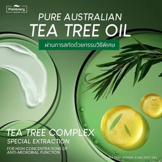 ลด 50% 🚨 Plantnery Tea Tree Intense Acne Spot Gel แพลนท์เนอรี่ ที ทรี เจลแต้มสิว 15 g.