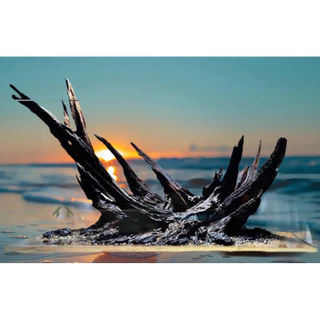 ไม้แต่งตู้ปลา driftwood 3 ชิ้นไม้ธรรมชาติ มีฟอร์ม สวย จัดสวนขนาดเล็ก
