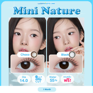 คอนแทคเลนส์ Mini Nature Black / Choco (Montra) ขนาดมินิ 🌷 เน…