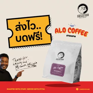 Cherrydog X Tamiru เมล็ดกาแฟพิเศษคั่วอ่อน Ethiopia Alo coffee Sidamo Bensa Bombe G1 Natural