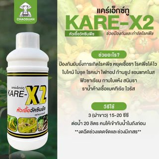 แก้ยางตายนึ่ง ราเส้นดำ เปลือกเน่า รากเน่า โคนเน่า! หยุดโรคร้ายในต้นยาง ครบ จบ ในขวดเดียว! KARE-X2 แคร์เอ็กซ์ทู