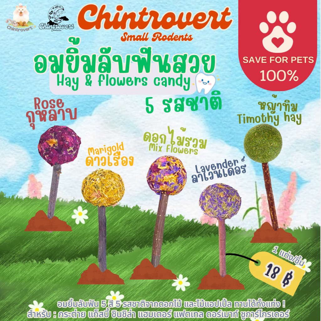 Chintrovert ✨| อมยิ้มลับฟันไม้แอปเปิ้ล Hay&flowers Candy 5 รสชาติ | ลับฟันสำหรับสัตว์ฟันแทะทุกชนิด