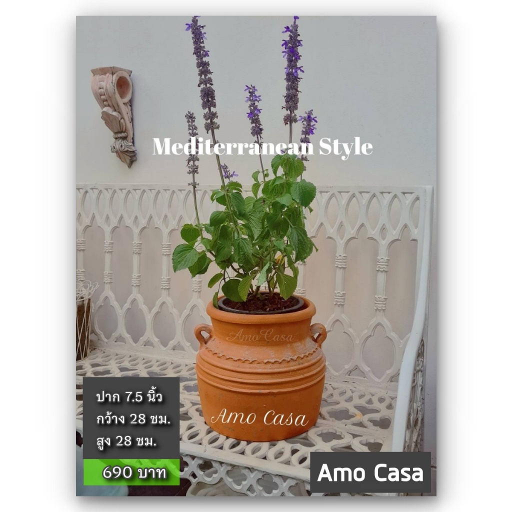 Amocasa กระถางต้นไม้ ดินเผา เนื้อเนียนสวย ปาก 7.5 นิ้ว  กว้าง 28 ซม.  สูง 20 ซม. (รบกวน Order ละใบนะครับ)) - รูปที่ 2