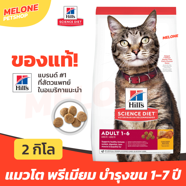 Hill's ฮิลส์ อาหารแมว สูตร Science Diet Adult 1-6 สำหรับ แมวโต บำรุงขน คุมแร่ธาตุ รสไก่ อายุ 1-6 ปี ขนาด 2 kg