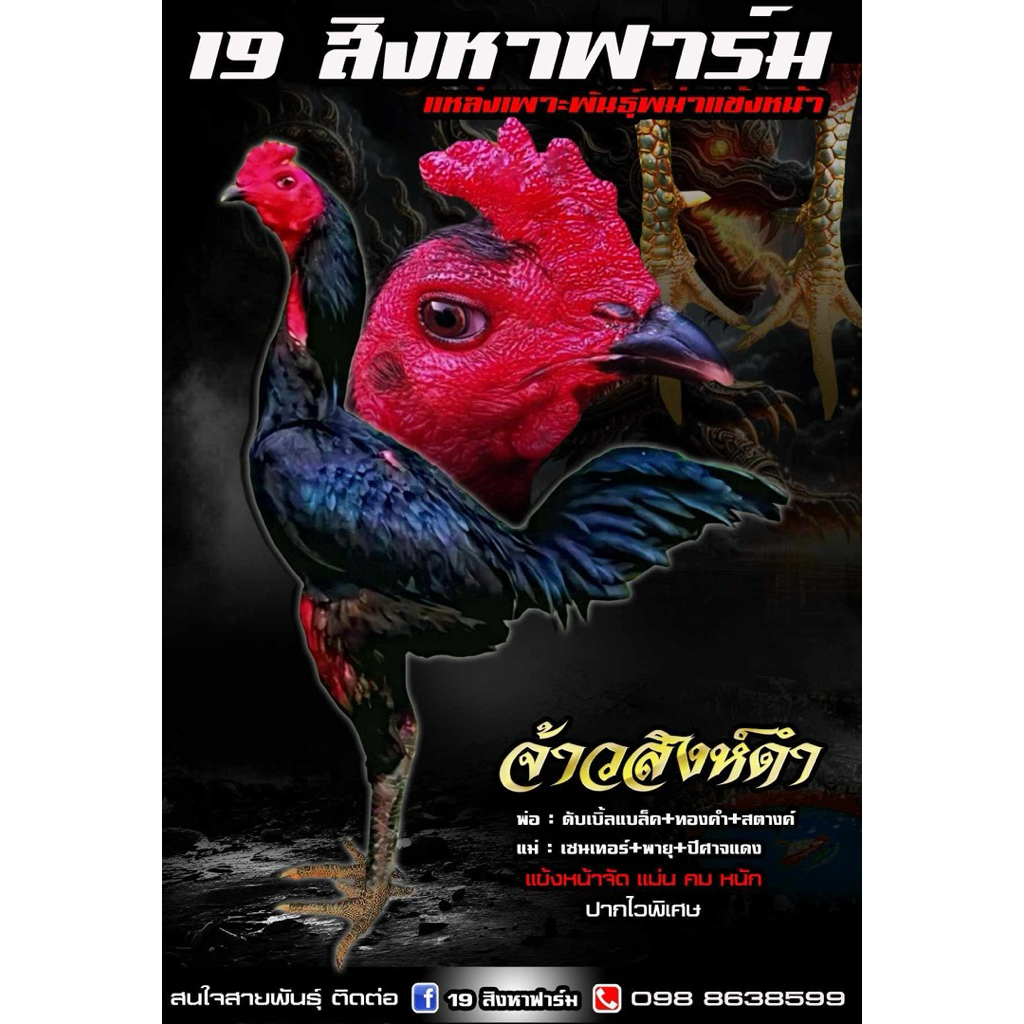 ไข่เชื้อไก่ชน พม่าแข้งหน้าสายเลือด Vip รับประกันเชื้อ!!