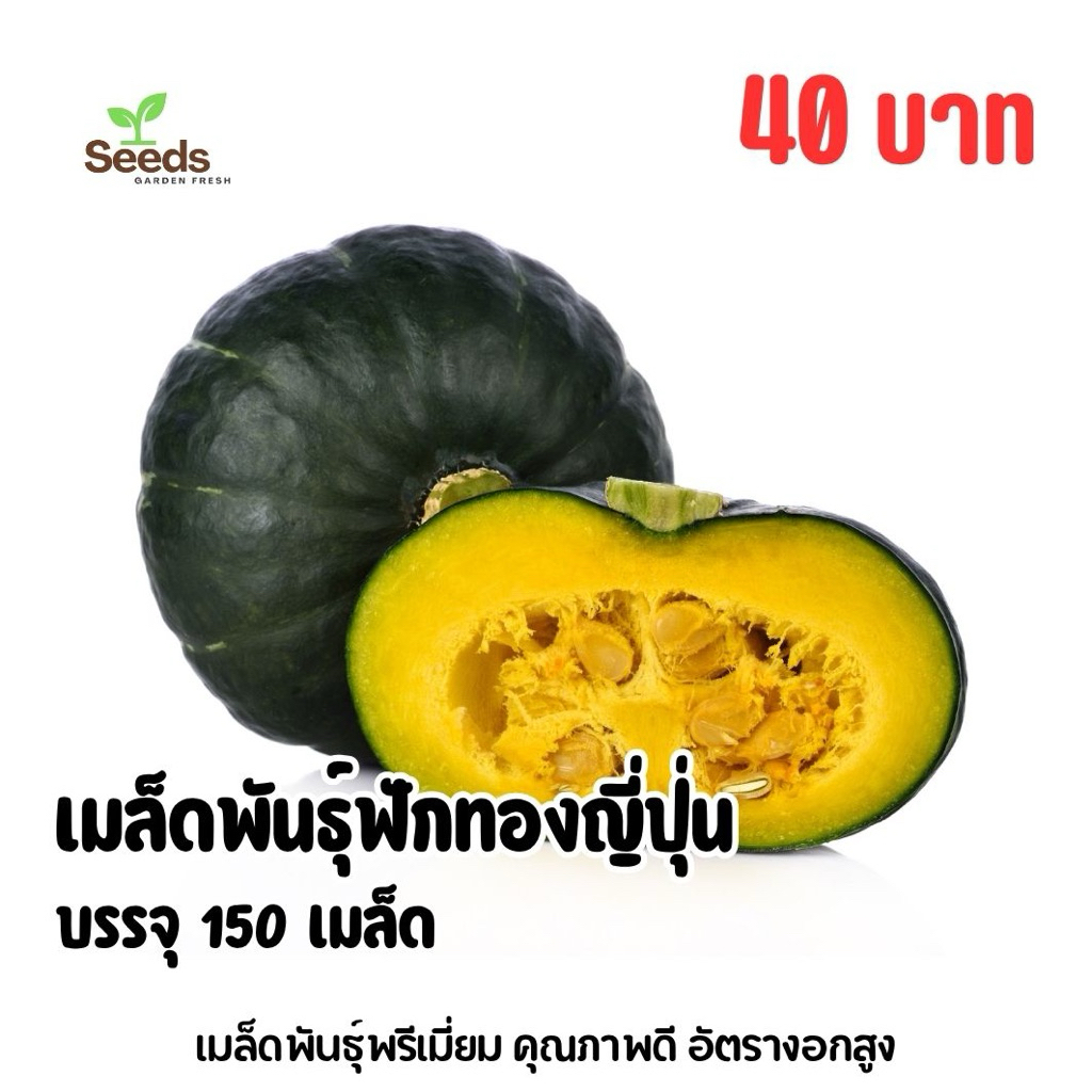 เมล็ดพันธุ์ฟักทองญี่ปุ่น บรรจุ 150 เมล็ด/ซอง [Seeds Garden Fresh]
