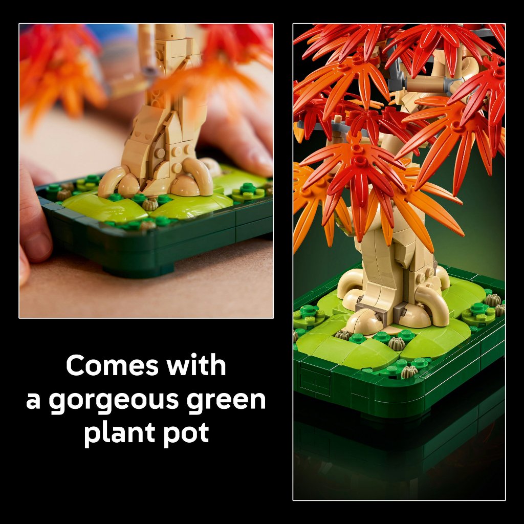 LEGO Botanicals ‏10348 بونساي القيقب الياباني الأحمر (474 قطعة) — صورة 6