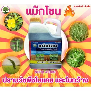 แม็กโซน ตราหวีทอง ขนาด 4 ลิตร ไดควอต ไดโบรไมด์ ยกลัง 6 แกลลอน
