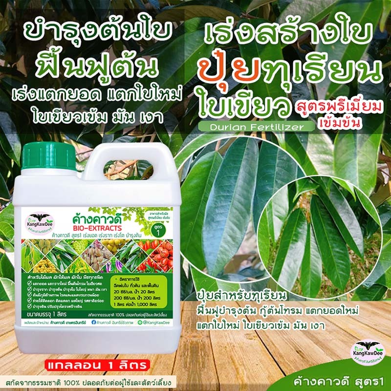 ปุ๋ยทุเรียน เร่งสร้างใบ ทำใบ ใบเขียวเข้ม ค้างคาวดีสูตร1(1ลิตร)ของแท้ ฟื้นต้นโทรม เร่งแตกยอด F1-1L