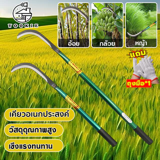 YOOKIE【แถมถุงมือ】มีดขอ เคียวเหล็กแมงกานีส เคียวเกี่ยวหญ้า เคียวเกี่ยวข้าว มีดถางหญ้า คียวตัดกิ่งไม้ ใช้สำหรับถ่างป่า