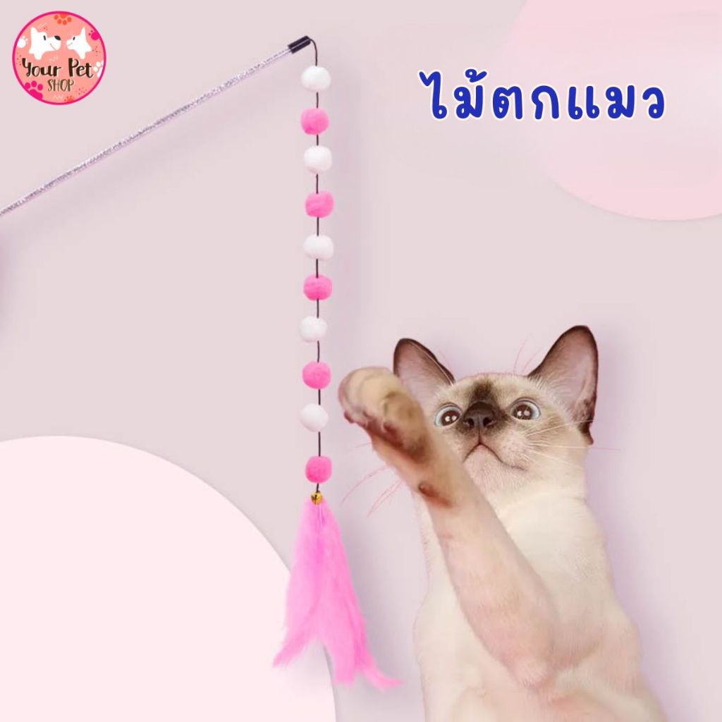 ไม้ล่อแมว ไม้ตกแมว ของเล่นแมว Teaser Wand สก็อตติช โฟลด์ เปอร์เซีย สีสวาด ขาวมณี วิเชียรมาศ