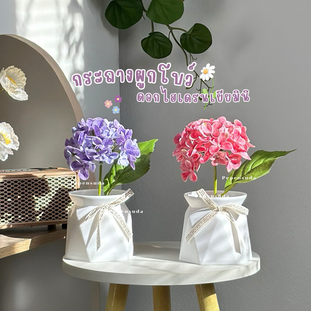 กระถางดอกไฮเดรนเยีย 🧸🌷พร้อมกระถางผูกโบว์ ต้นไม้ดอกไม้สำหรับตกแต่ง