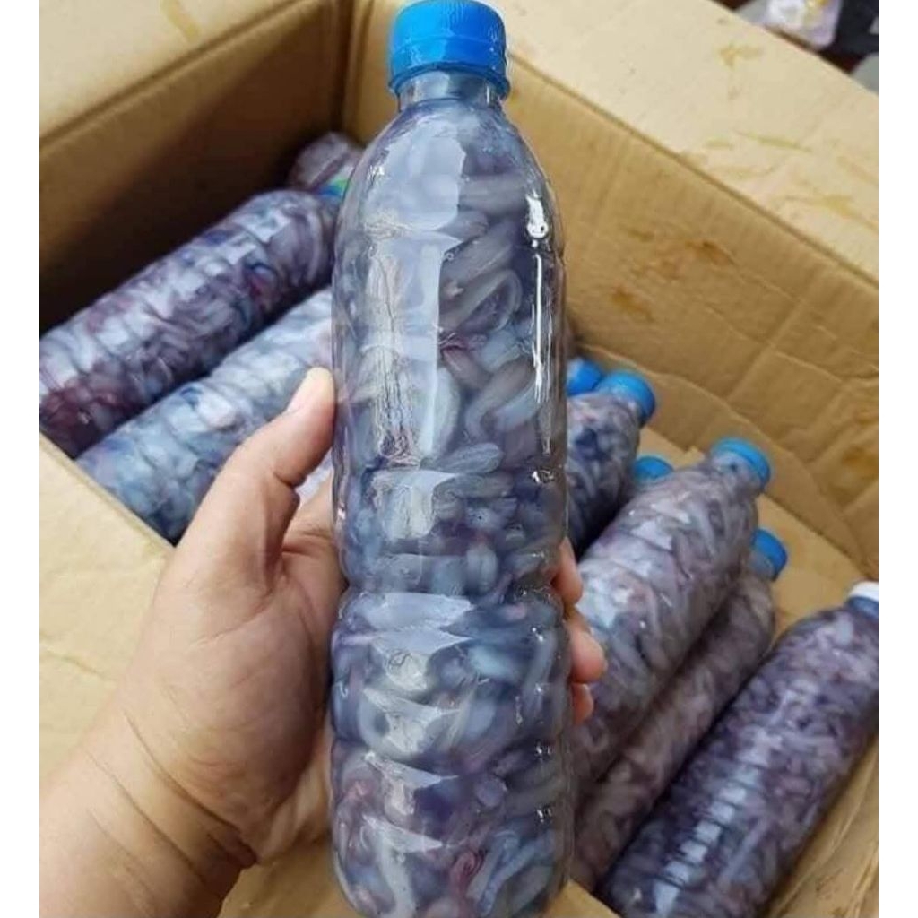 เนื้อก้ามกุ้ง แพ็ค 500 กรัม ‼️ฟรีโฟม‼️