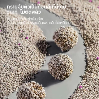FOLOPETS ทรายแมว 5 ลิตร กลิ่นเบนโทไนท์ 100% ป้องกันการเจริญเติบโตของแบคทีเรีย