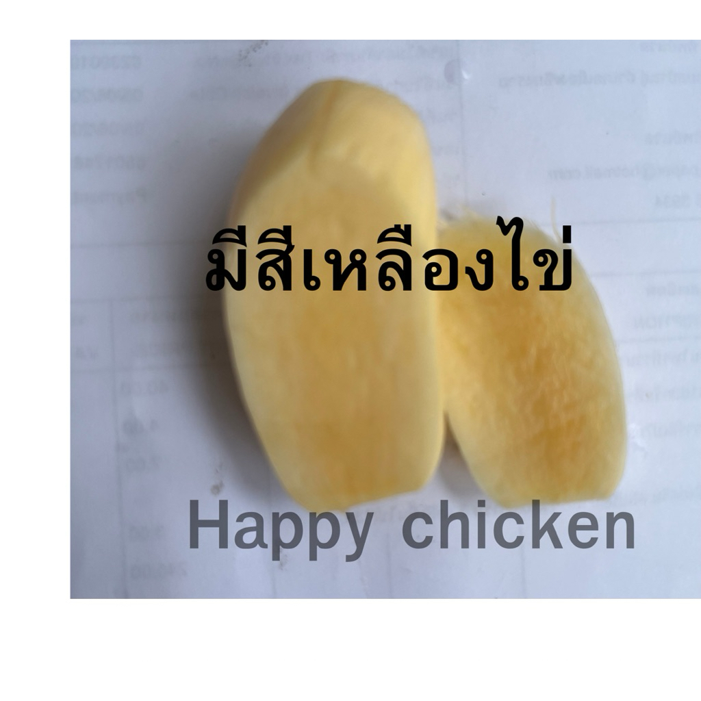 พันธุ์มันสำปะหลังระยองไข่ (เนื้อเหลือง)5ท่อน