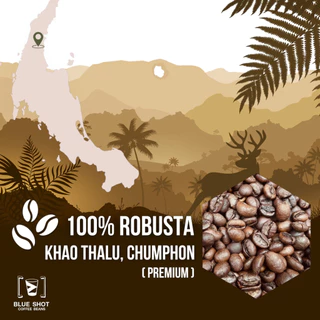 Blueshot : เมล็ดกาแฟคั่ว โรบัสต้า เขาทะลุ ชุมพร | Premium Robusta | หอมเข้ม ยันหว่าง | คั่วสด บดฟรี