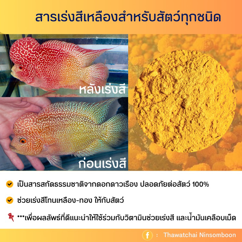 สารสกัดเร่งสีเหลืองทอง สำหรับสัตว์ทุกชนิด สูตรเข้มข้นสีขึ้นไว