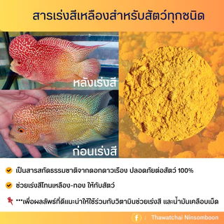 สารสกัดเร่งสีเหลืองทอง สำหรับสัตว์ทุกชนิด