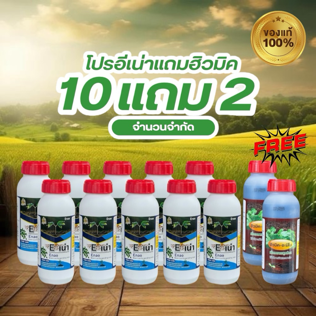 [โปร10ขวดแถมฮิวมิค2ขวด] E-เน่า กู้ดิน ดินเสีย ดินเสื่อม ปรับดินชนิดจุลินทรีย์ จำนวน 10 ขวด แถมฮิวมิค 2 ขวด (ขวด 500ml)