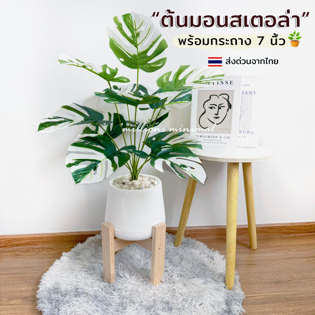 (🔥พร้อมส่ง) ต้นไม้ปลอม "ต้นมอนสเตอล่า" พร้อมกระถางมินิมอล 7 นิ้ว ฟรีหินโรย!!