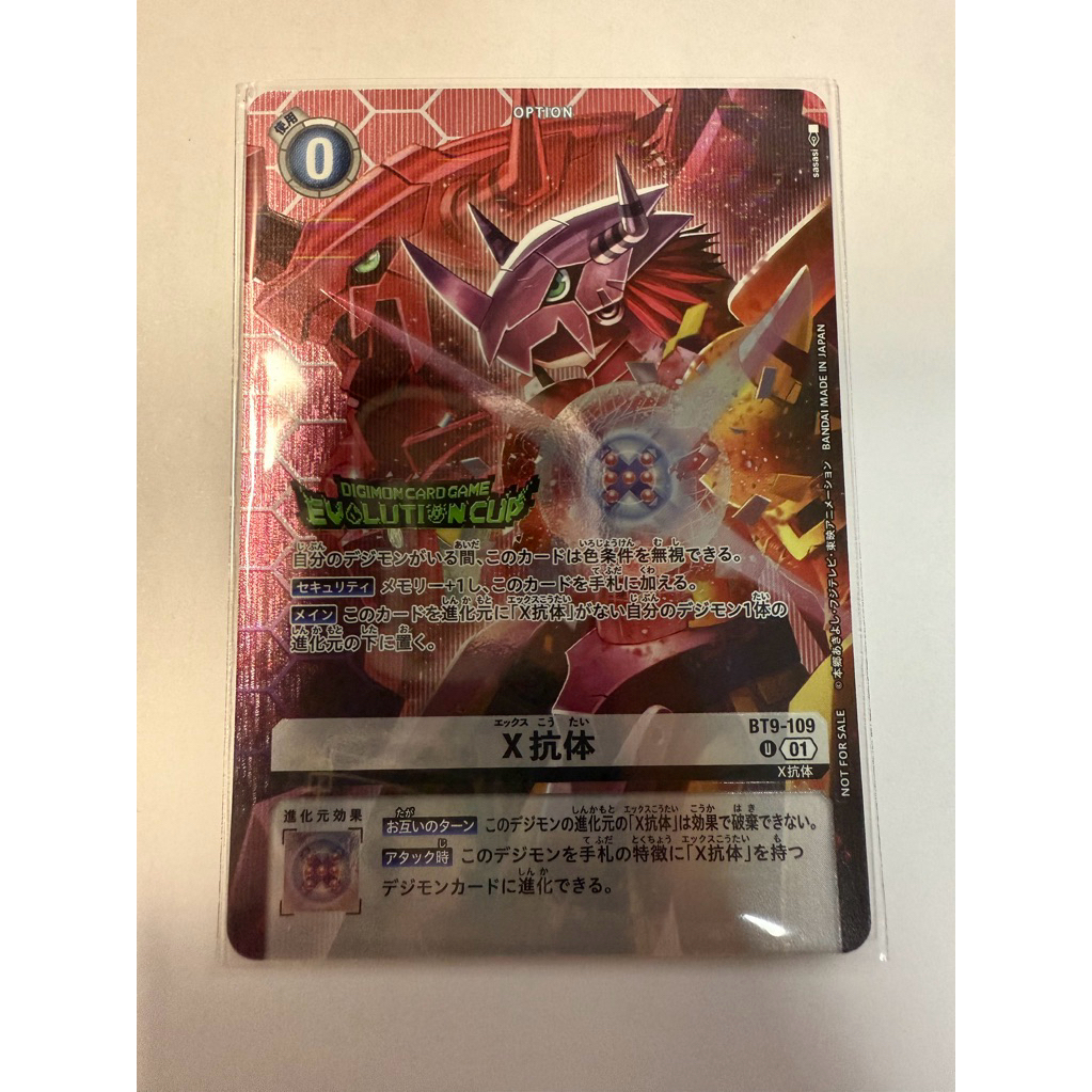 X Antibody (BT9-109)