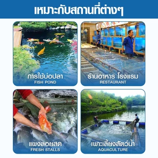 ปั้มอ็อกซิเจน รุ่น ACO-208 ACO-318 ACO-388D ปั๊มลมบ่อกุ้ง ปั๊มลมระบบลูกสูบ(แถมฟรี วาล์วปรับลม 6 ชิ้น )Air Pump