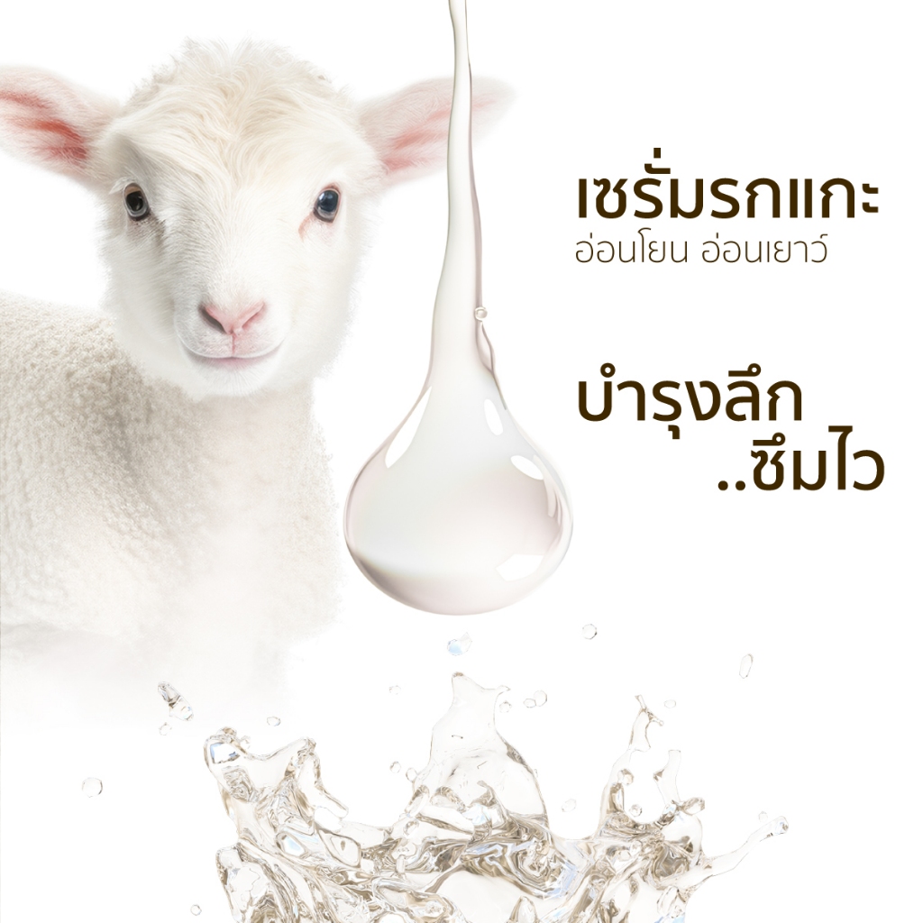 REBIRTH PLACENTA EXTRACT CONCENTRATE SERUM รีเบิร์ท เซรั่มรกแกะเข้มข้น45% ขนาด 25ML — صورة 4