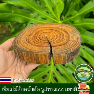 ไม้สักหน้าตัด กลม รูปทรงธรรมชาติ อาจมีรอยแตกตามธรรมชาติแต่ไม่แยกจากกัน เขียงไม้ เขียง ไม้สักแท้ คละไชส์ 13-16ชม.หนา2ซม.
