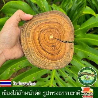 ไม้สักหน้าตัด กลม รูปทรงธรรมชาติ อาจมีรอยแตกตามธรรมชาติแต่ไม่แยกจากกัน เขียงไม้ เขียง ไม้สักแท้ คละไชส์ 13-16ชม.หนา2ซม.