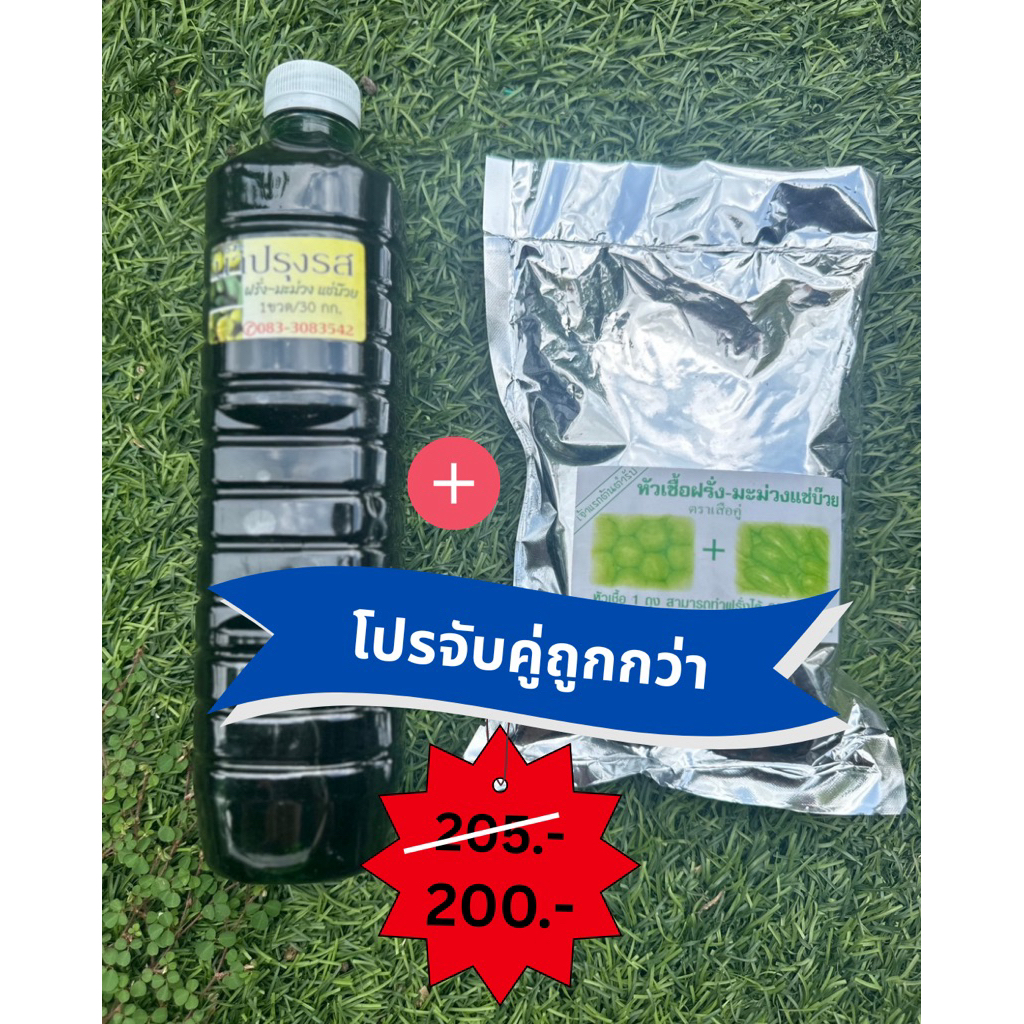 หัวเชื้อฝรั่ง น้ำฝรั่งแช่บ๊วย เชื้อดองมะม่วง